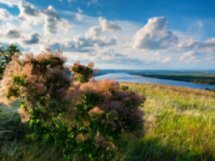 Раздорская, Старочеркасская и Новочеркасск за 1 день