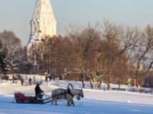 Новогодние гуляния в Коломенском