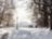 Новогодние гуляния в Коломенском