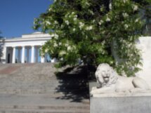 Экскурсия-спектакль в Севастополе