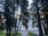 Переделкино и «шестидесятники»