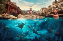 Билеты в тематический парк «Seaworld» и трансфер из Дубая