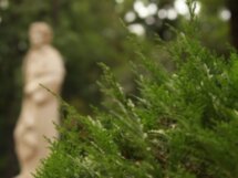 Кисловодск: прогулка длиною в 200 лет