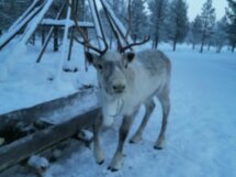 Сейдозеро — следы древних цивилизаций