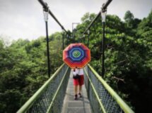 Прогулка по парку MacRitchie с фотосессией