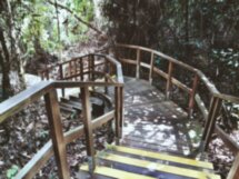 Прогулка по парку MacRitchie с фотосессией