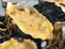 Устрица — от добычи до сервировки стола