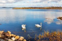 В поисках тишины: по островам Псковского озера и берегу Чудского озера