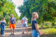 Античный Сиде и его живописные окрестности. Автобусная экскурсия
