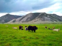 Неизведанный Байкал: водно-пешеходное путешествие к мысу Зундук
