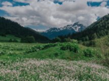 Горная Абхазия, фото и пикник на альпийских лугах!