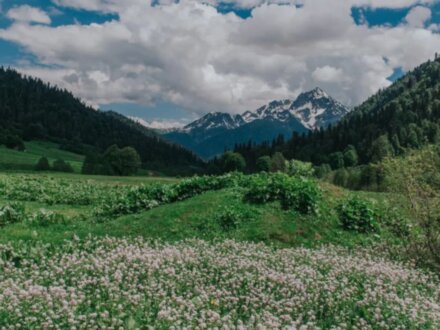 Горная Абхазия, фото и пикник на альпийских лугах!