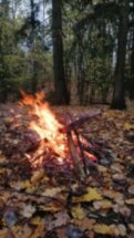 Из Калининграда — к святилищу пруссов: знакомство с миром древних