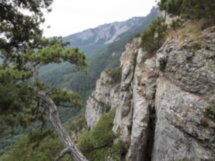 Открыть природу горного Крыма