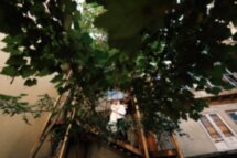 Вы и Тбилиси: индивидуальная фотопрогулка