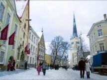 Рождественский Таллин — прогулка по Старому городу