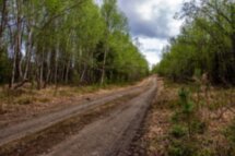 Посёлок Мурмаши и окрестности: дружеский велопоход