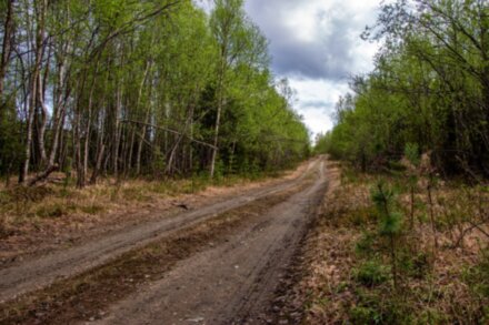 Посёлок Мурмаши и окрестности: дружеский велопоход