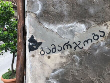 Тбилиси: прогулка по воде, земле и воздуху