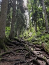 Два озера Рица за одно путешествие