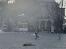 Стамбул с профессиональным гидом