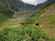 Горный массив Вачкажец: красота заповедной Камчатки