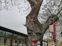 Улицы, переулки и дворы Баку