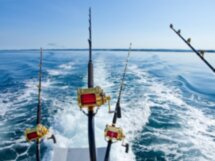 Адлер: морская рыбалка с купанием