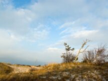 Путешествие на Куршскую косу через Зеленоградск