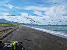 Большое Сахалинское приключение с походами, палатками и морскими деликатесами