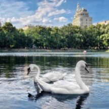 Патриаршие пруды: переплетение судеб