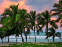 Фантастическая природа и сельский колорит Кубы