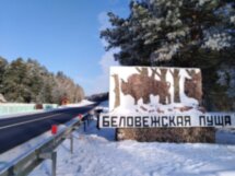 Новогоднее путешествие в Беловежскую пущу