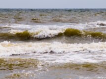 Азовское море и «Поместье Голубицкое»: открыть русскую Шампань
