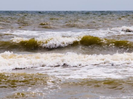 Азовское море и «Поместье Голубицкое»: открыть русскую Шампань