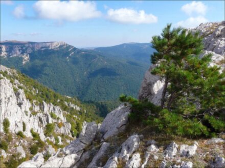 Хапхальское ущелье — первозданная природа Крыма