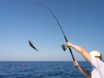 Рыбалка на Чёрном море в мини-группе