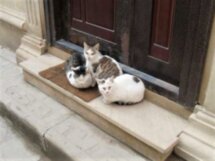 Земля и небо Баку