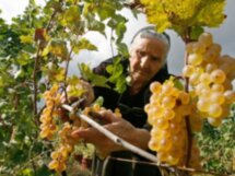 Сокровища Кахетинского региона
