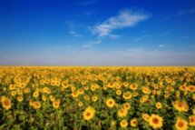 Тур по Алтаю: смотреть во все глаза