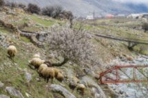 В Кабардино-Балкарию из Пятигорска — в мини-группе
