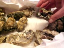 Кулинарная прогулка для самых смелых