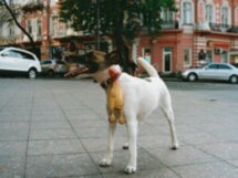 Одесса без купюр