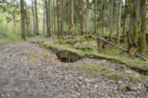 Виштынецкое озеро и Роминтенская пуща: к местам королевской охоты