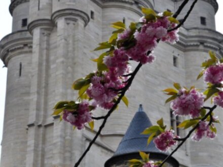 Венсенский замок (Ch?teau de Vincennes)