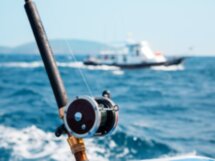 Морская рыбалка на Пхукете