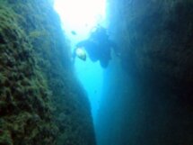 Дайвинг в Черном море