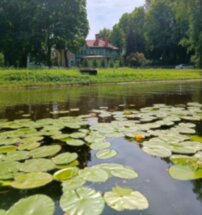 Каменный остров: добро пожаловать в тайный сад императора
