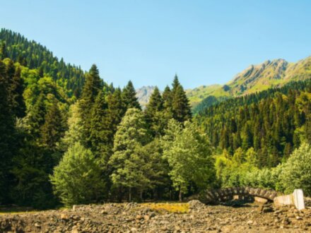 Экскурсия из Сочи: И это всё — Абхазия