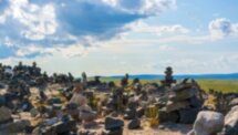 Киты, тюлени и невероятная Териберка